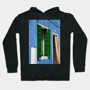 Green Shutters Hoodie